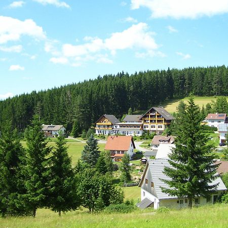 Waldhotel Auerhahn B&B Bed & Breakfast Eisenbach  Exterior photo