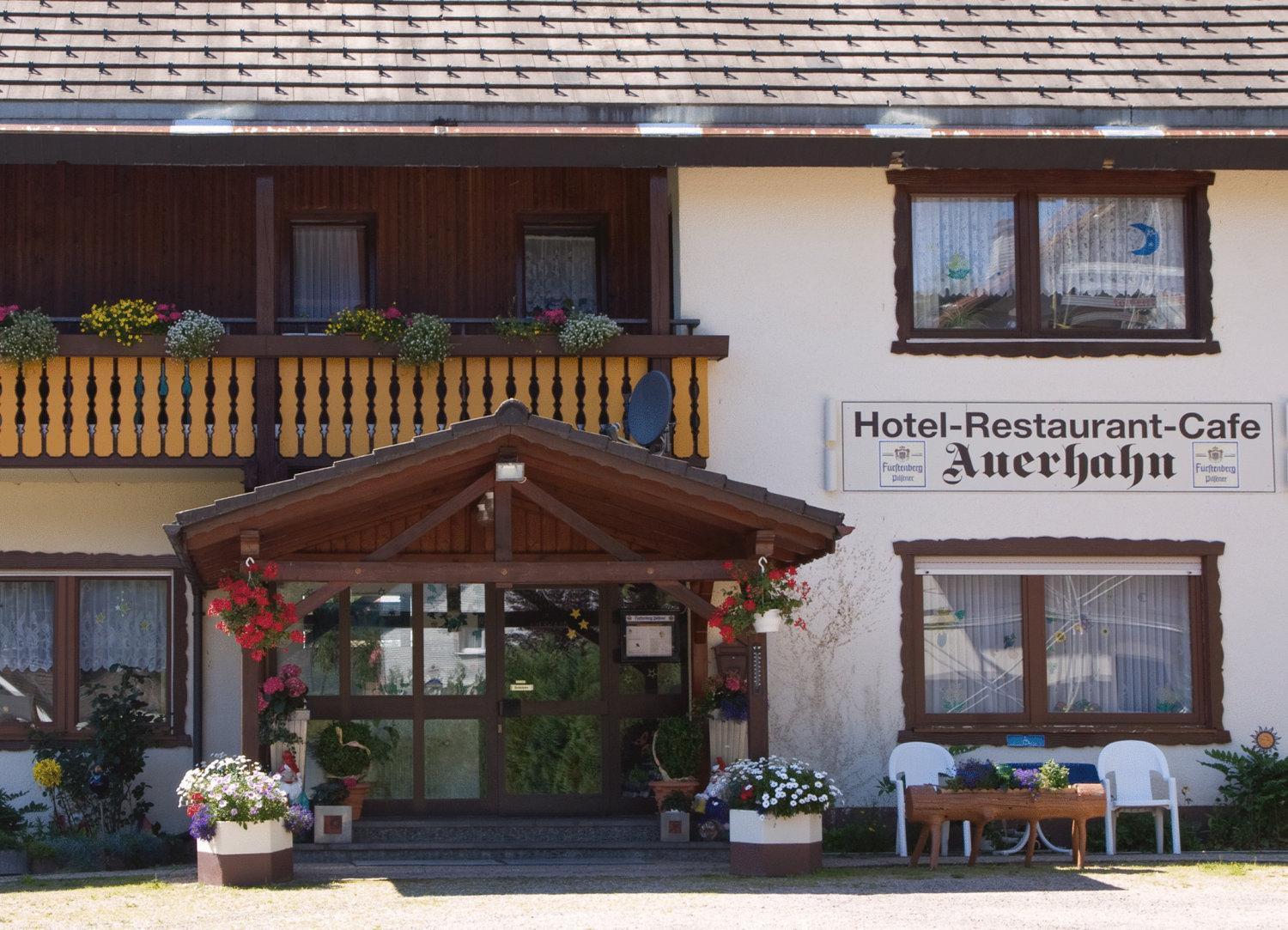 Waldhotel Auerhahn B&B Bed & Breakfast Eisenbach  Exterior photo