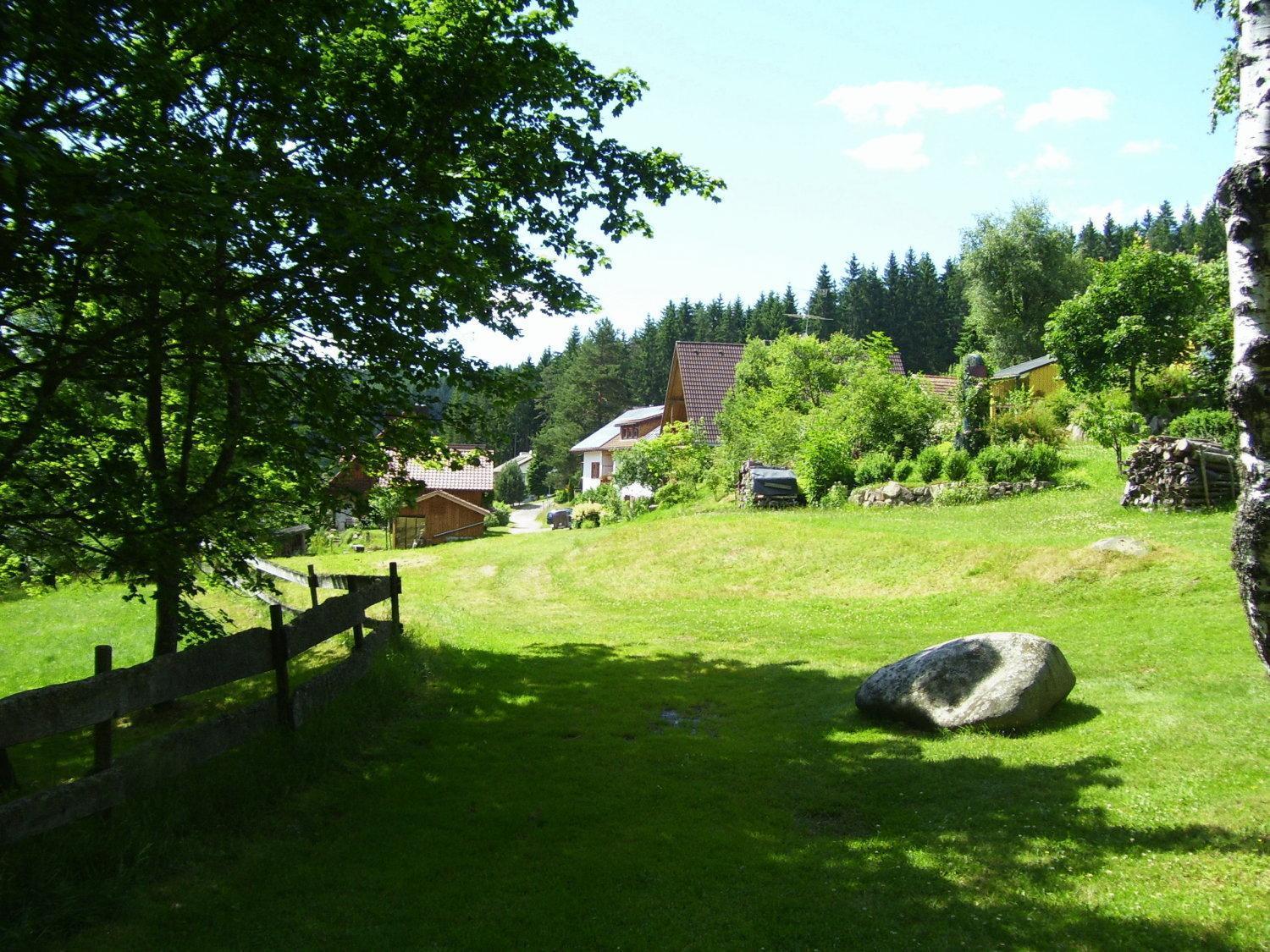 Waldhotel Auerhahn B&B Bed & Breakfast Eisenbach  Exterior photo